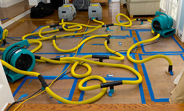 Professional Flood Damage Restoration technician working in Ivins, UT